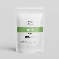 YK11