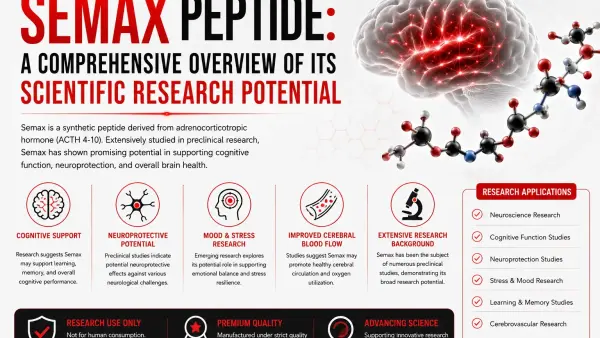 Semax Peptide: A Comprehensive Overview of Its Scientific Research Potential