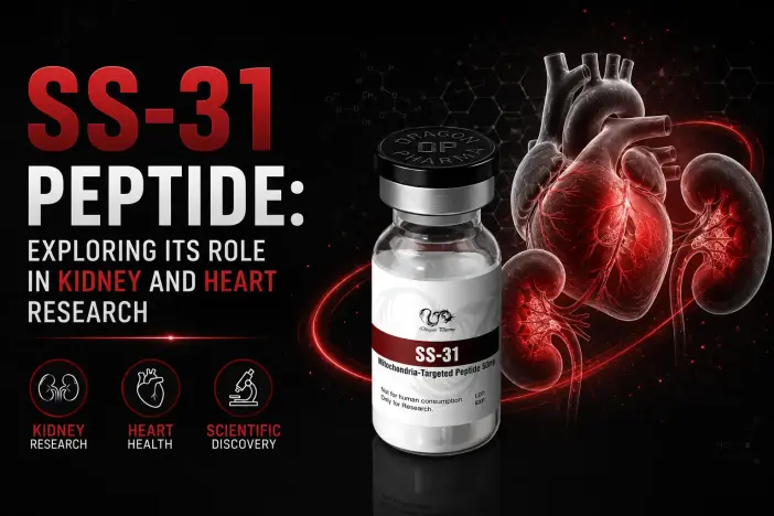 SS-31 Peptide: Exploring Its Role in Kidney and Heart Research